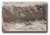 [Click to enlarge]